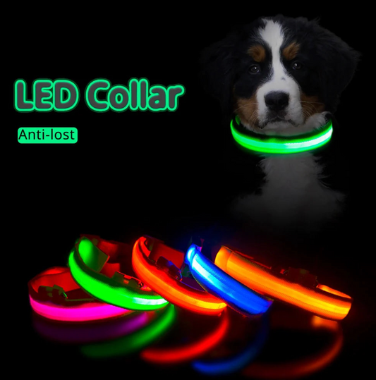 Never-Lost LED Collar