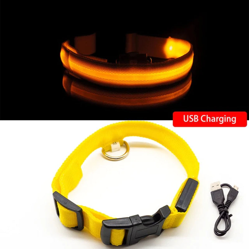 Anti-Lost USB Charging Led Dog Collar