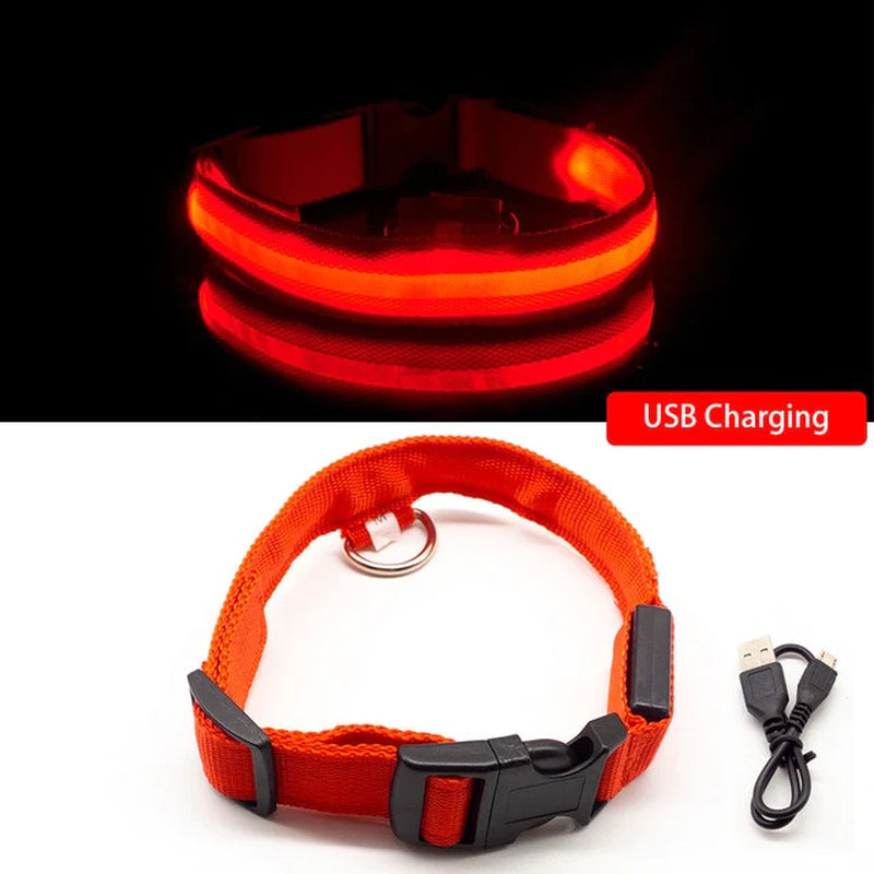 Anti-Lost USB Charging Led Dog Collar