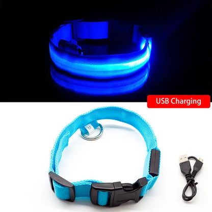 Anti-Lost USB Charging Led Dog Collar