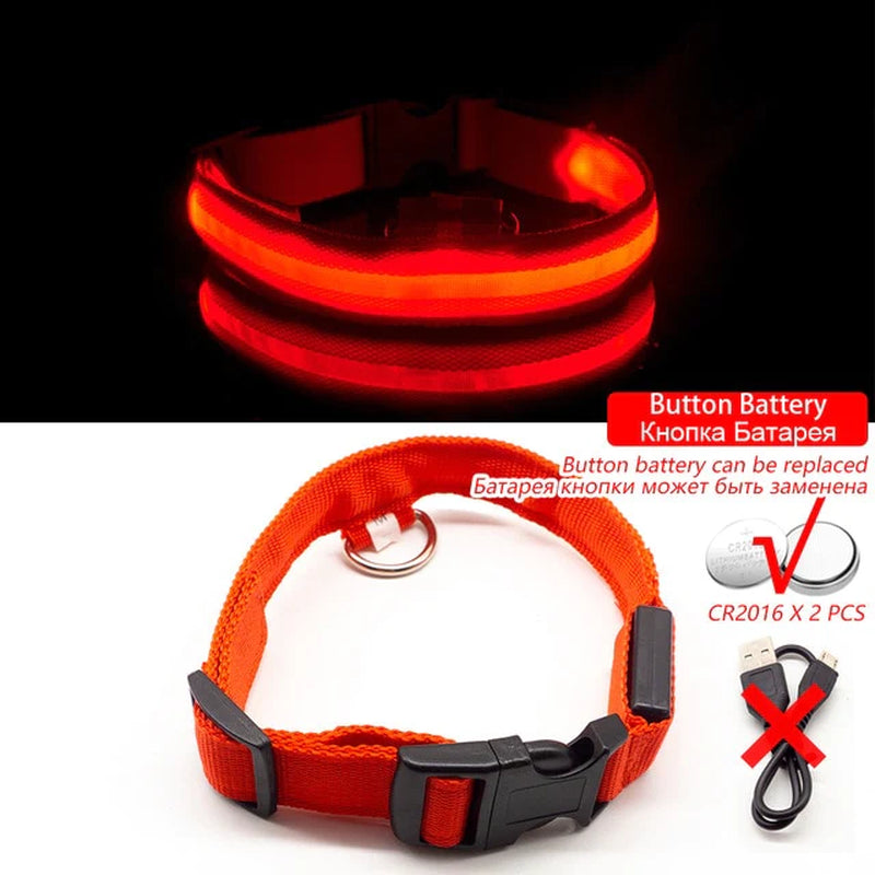 Anti-Lost USB Charging Led Dog Collar