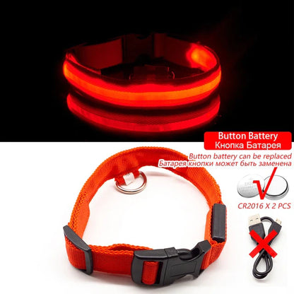 Anti-Lost USB Charging Led Dog Collar