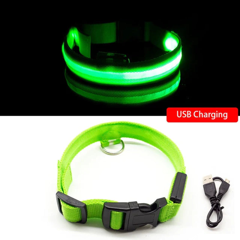 Anti-Lost USB Charging Led Dog Collar