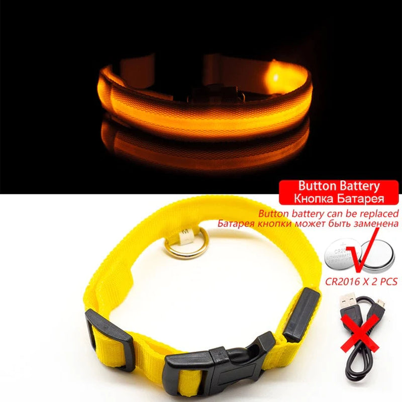 Anti-Lost USB Charging Led Dog Collar