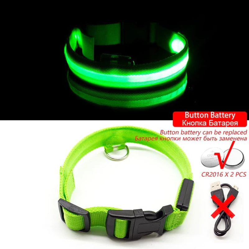 Anti-Lost USB Charging Led Dog Collar