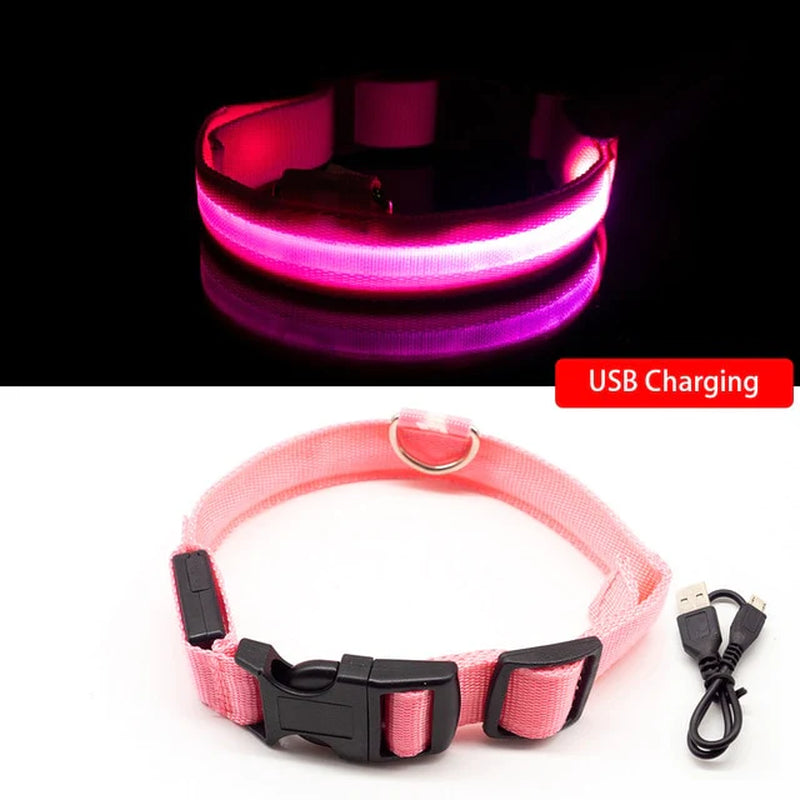 Anti-Lost USB Charging Led Dog Collar