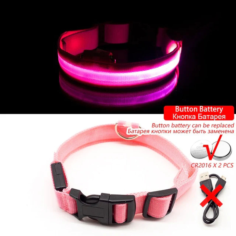 Anti-Lost USB Charging Led Dog Collar